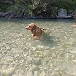 شقة Il Nido Di Matilde _monolocale Design Sul Fiume_ *